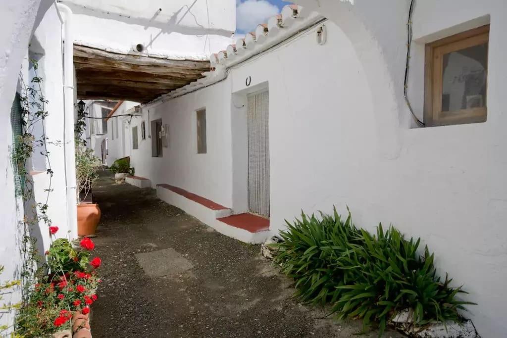 Apartment Cortijo Grande