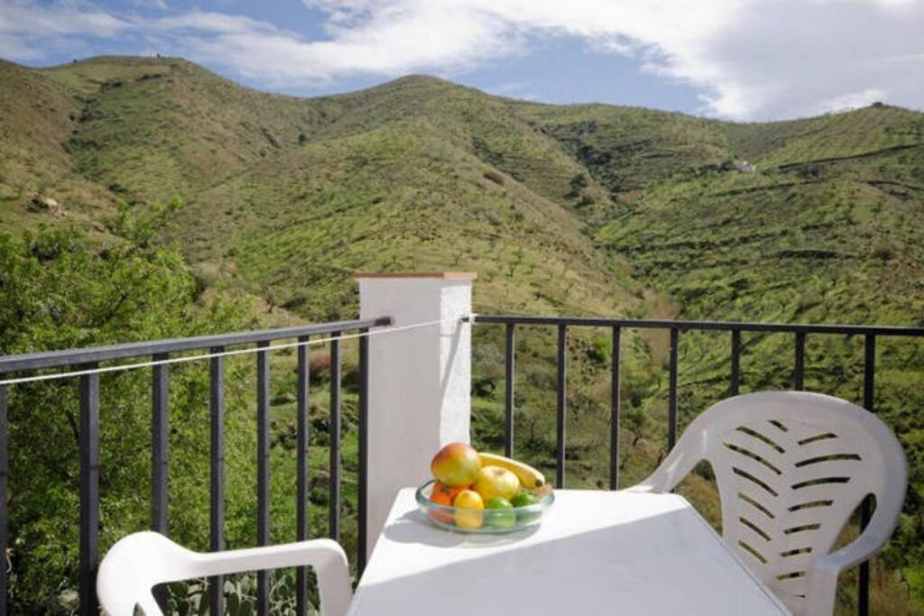 Apartment Cortijo Grande *